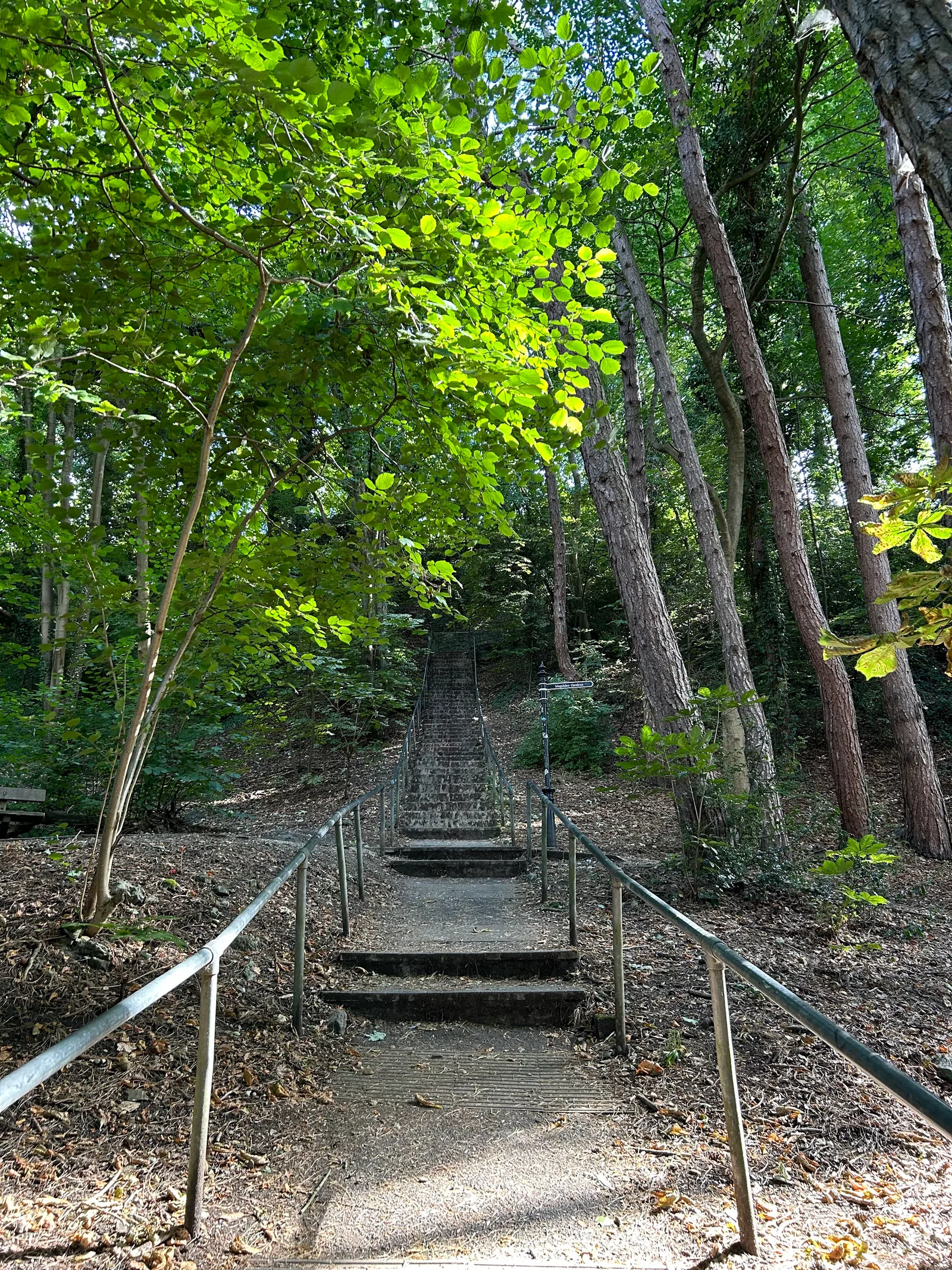 Atmosphere at Alexandra Park View Point Bath — travel photo