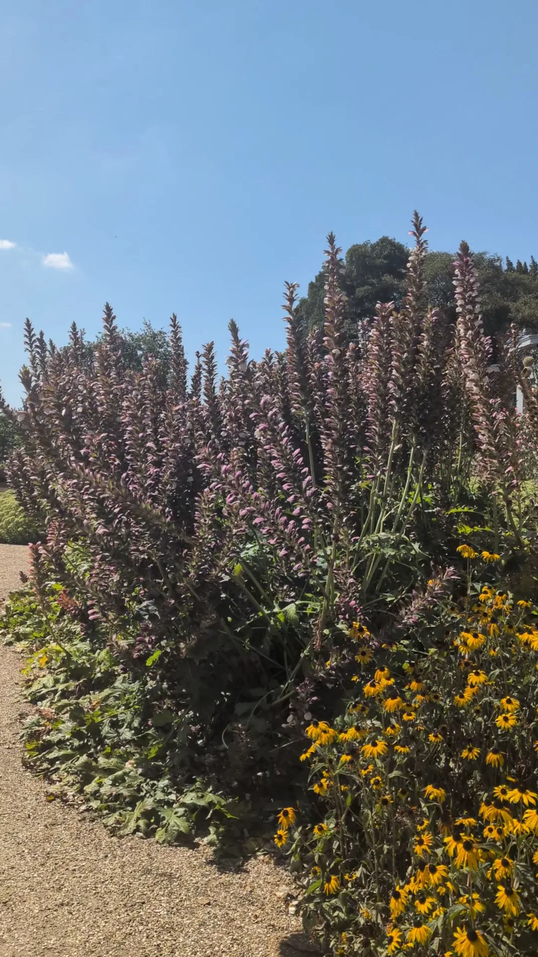 Main view at American Museum & Gardens Bath — travel photo