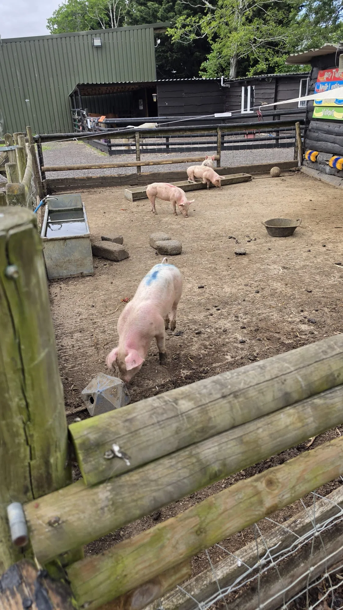 Atmosphere at Avon Valley Adventure Park Bath — travel photo