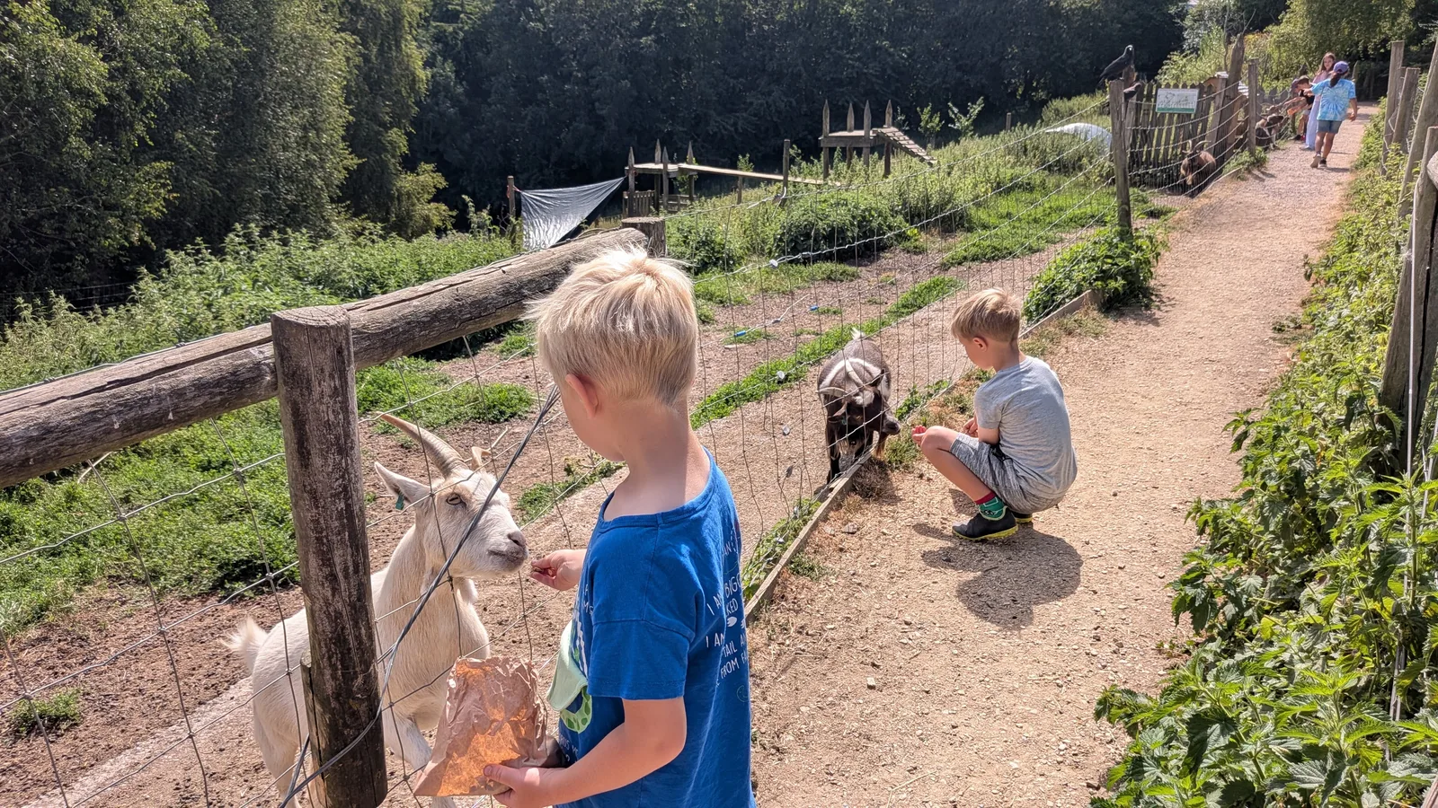 Main view at Bath City Farm Bath — travel photo