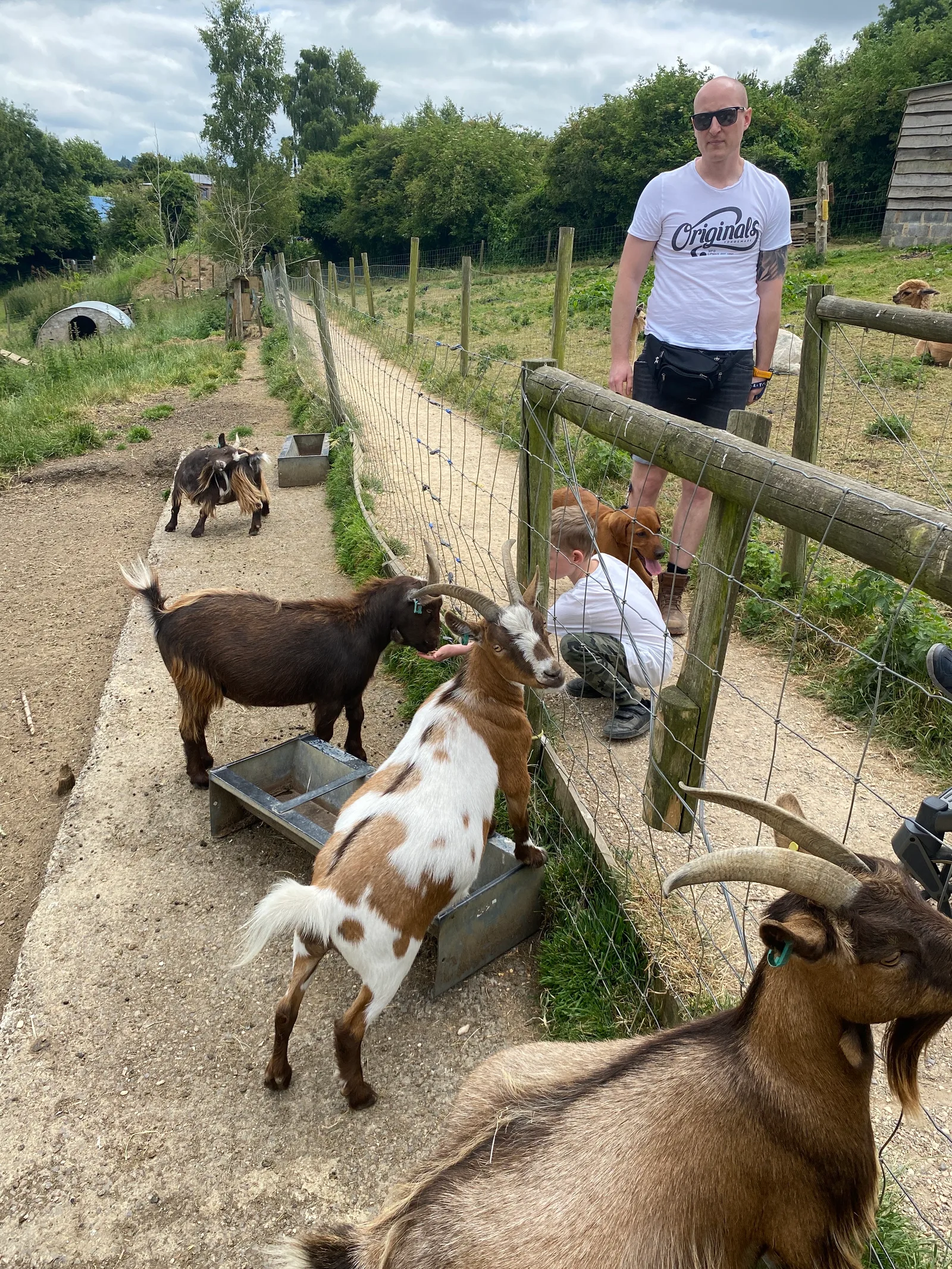 Interior at Bath City Farm Bath — travel photo