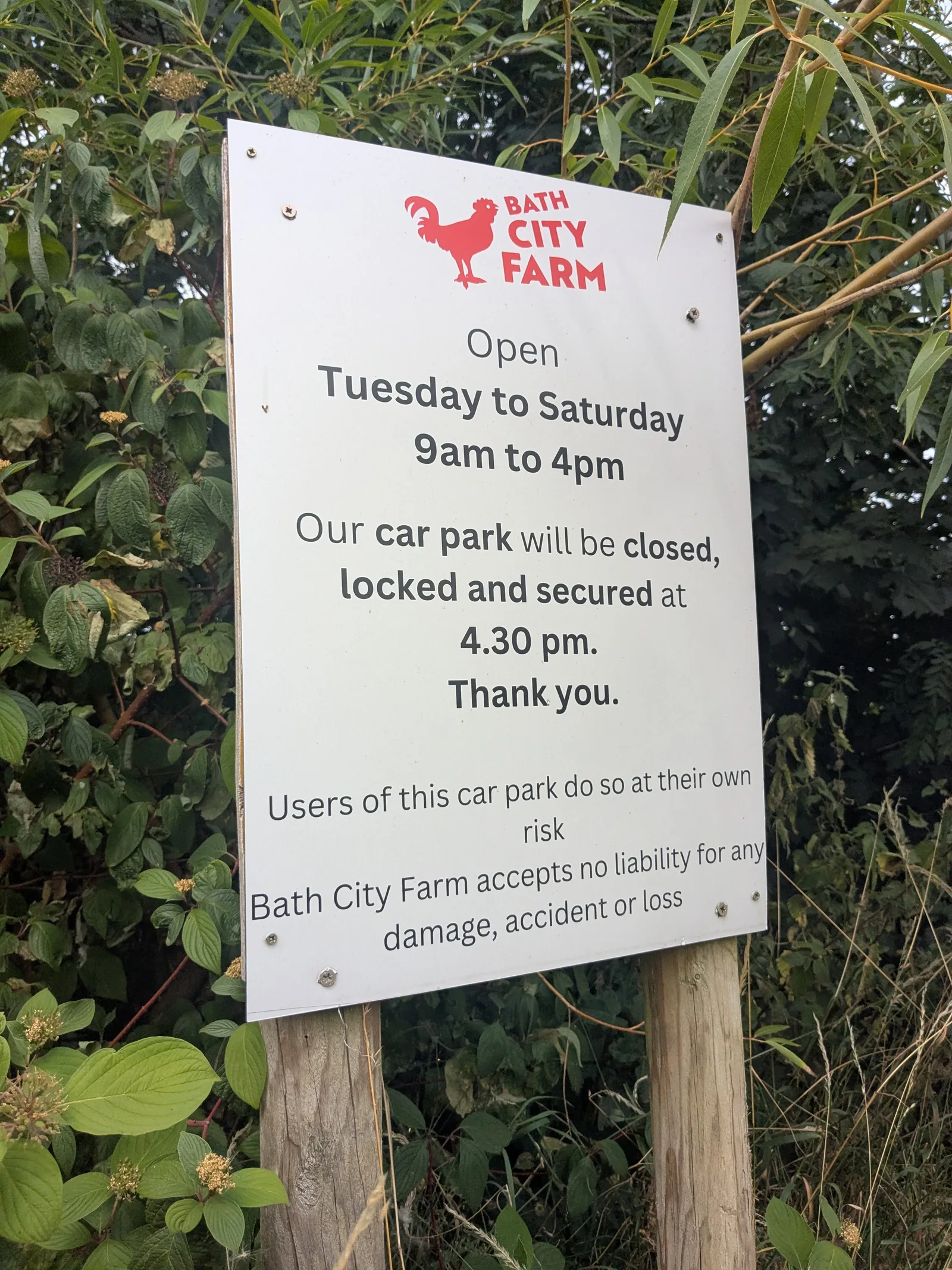 Details at Bath City Farm Bath — travel photo