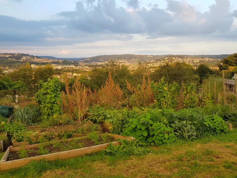 Bath City Farm