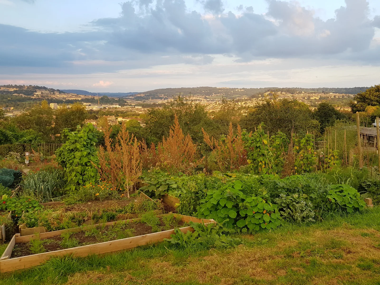 Bath City Farm — hidden gems guide Bath