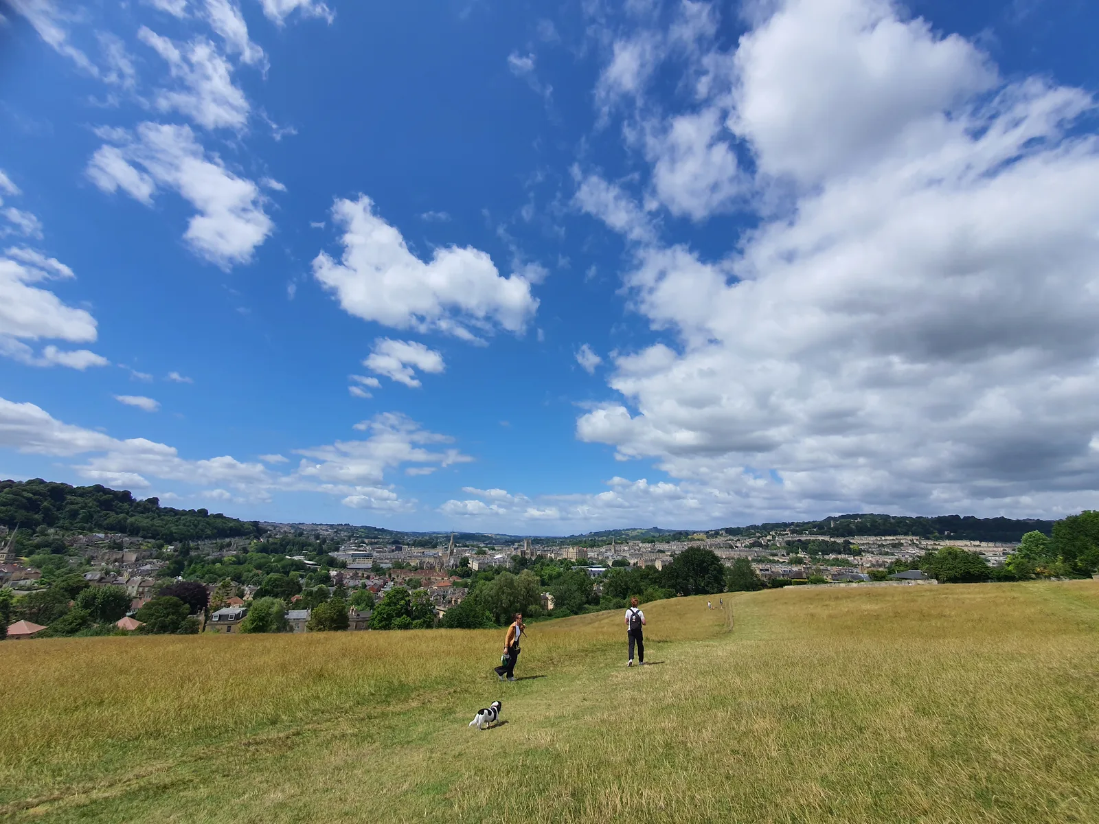 Bathwick Meadow