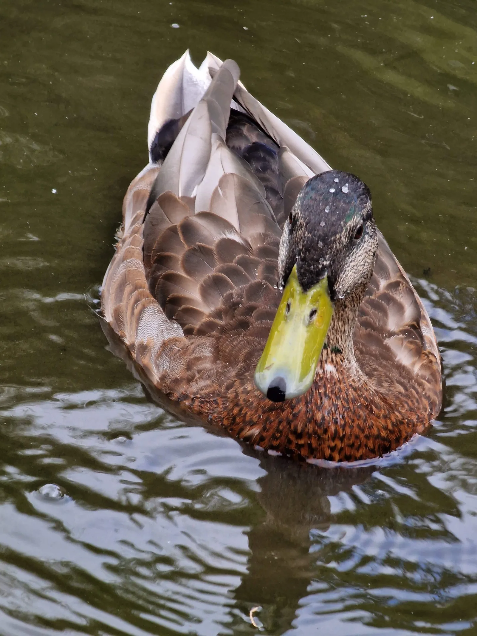 Details at Botanical Gardens Bath — travel photo