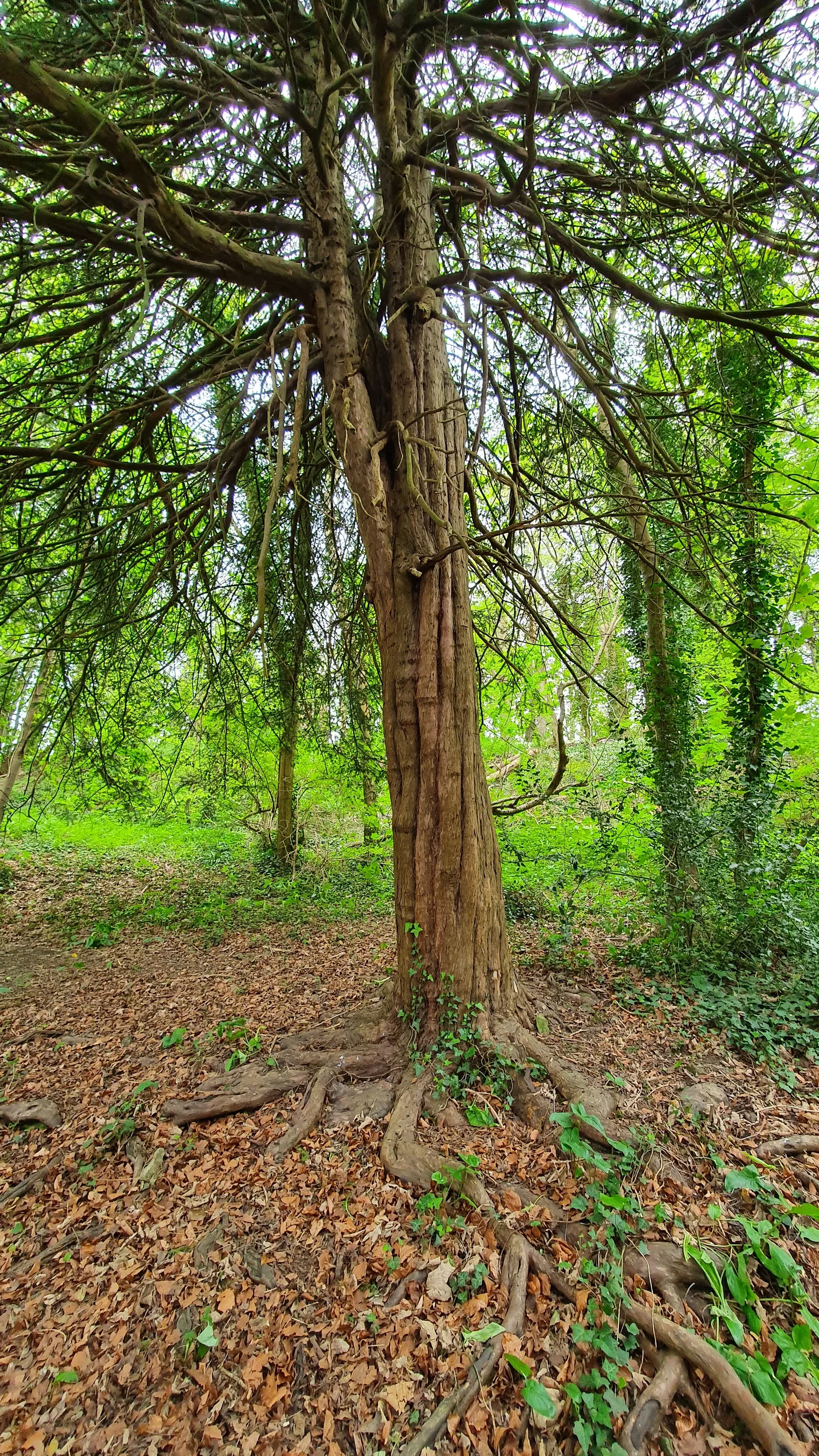 Interior at Carrs Wood Trail Bath — travel photo