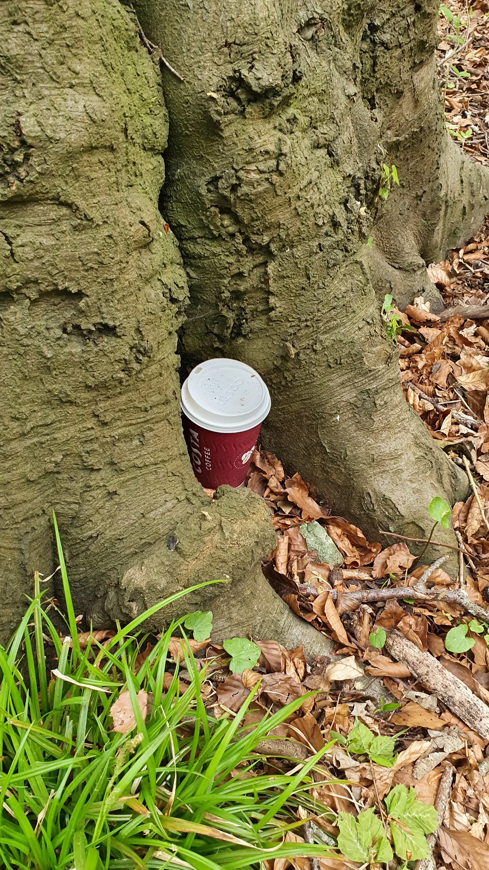 Details at Carrs Wood Trail Bath — travel photo