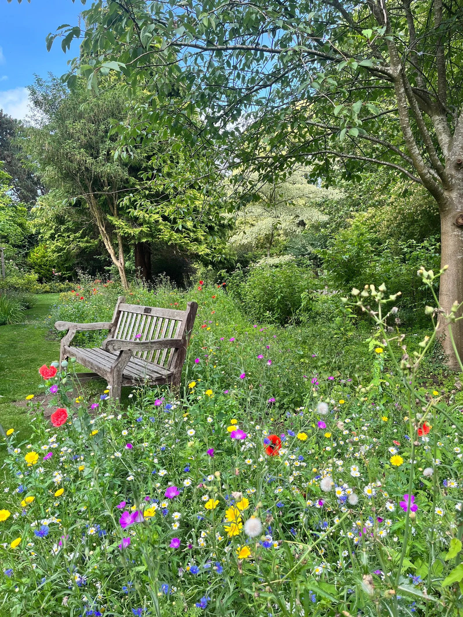 Atmosphere at Garden of Remembrance Bath — travel photo