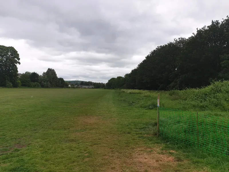 Kensington Meadows