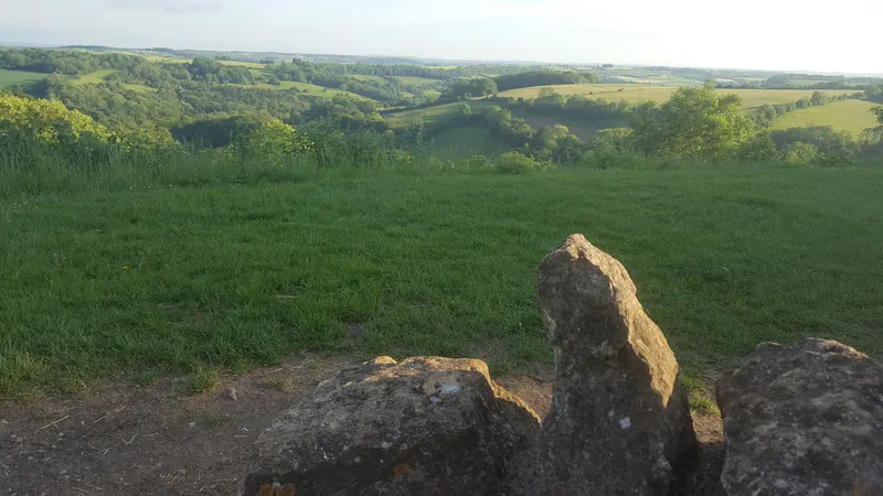Millennium Viewpoint