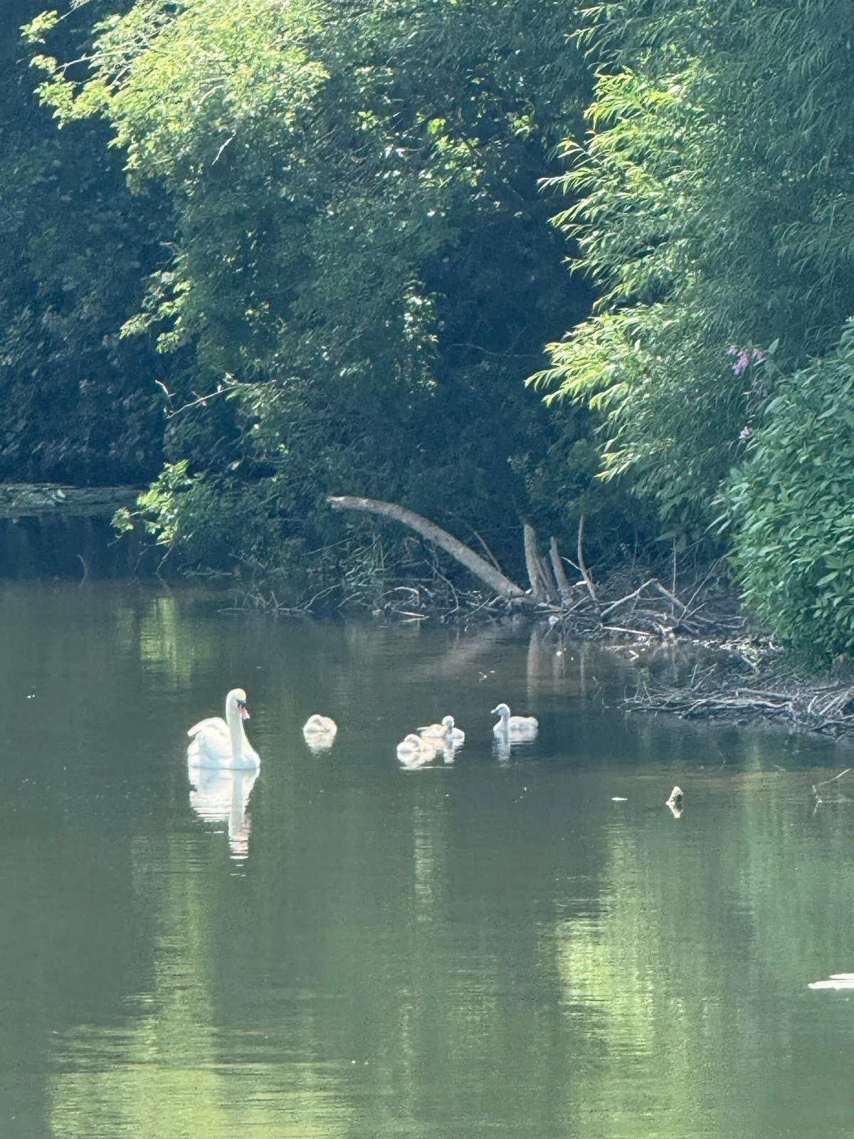 Atmosphere at River Avon Trail Bath — travel photo