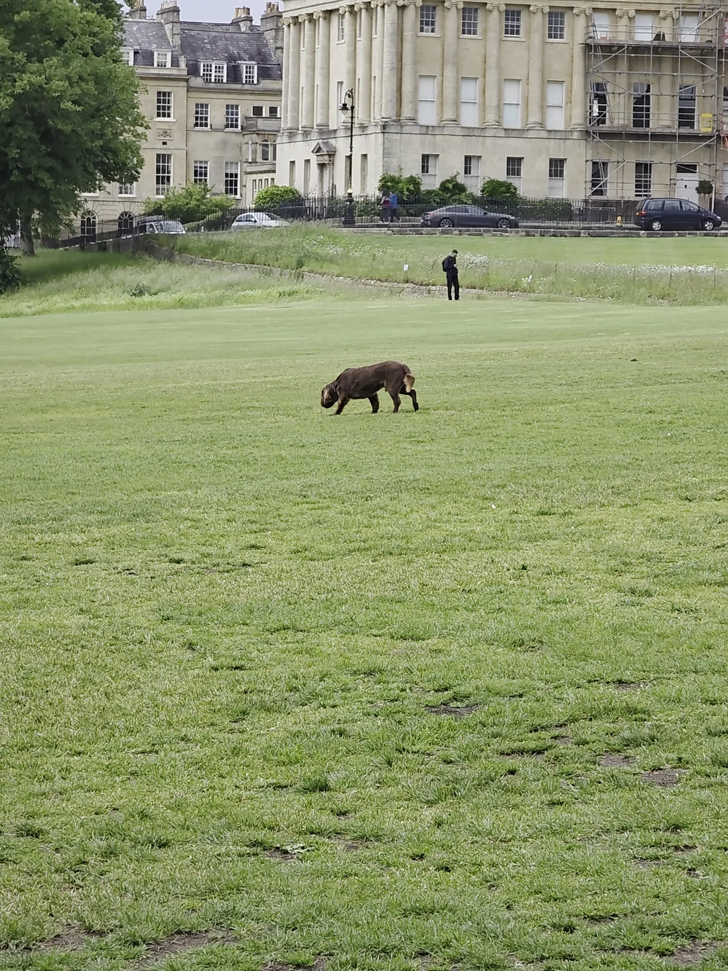 Main view at Royal Victoria Park Bath — travel photo