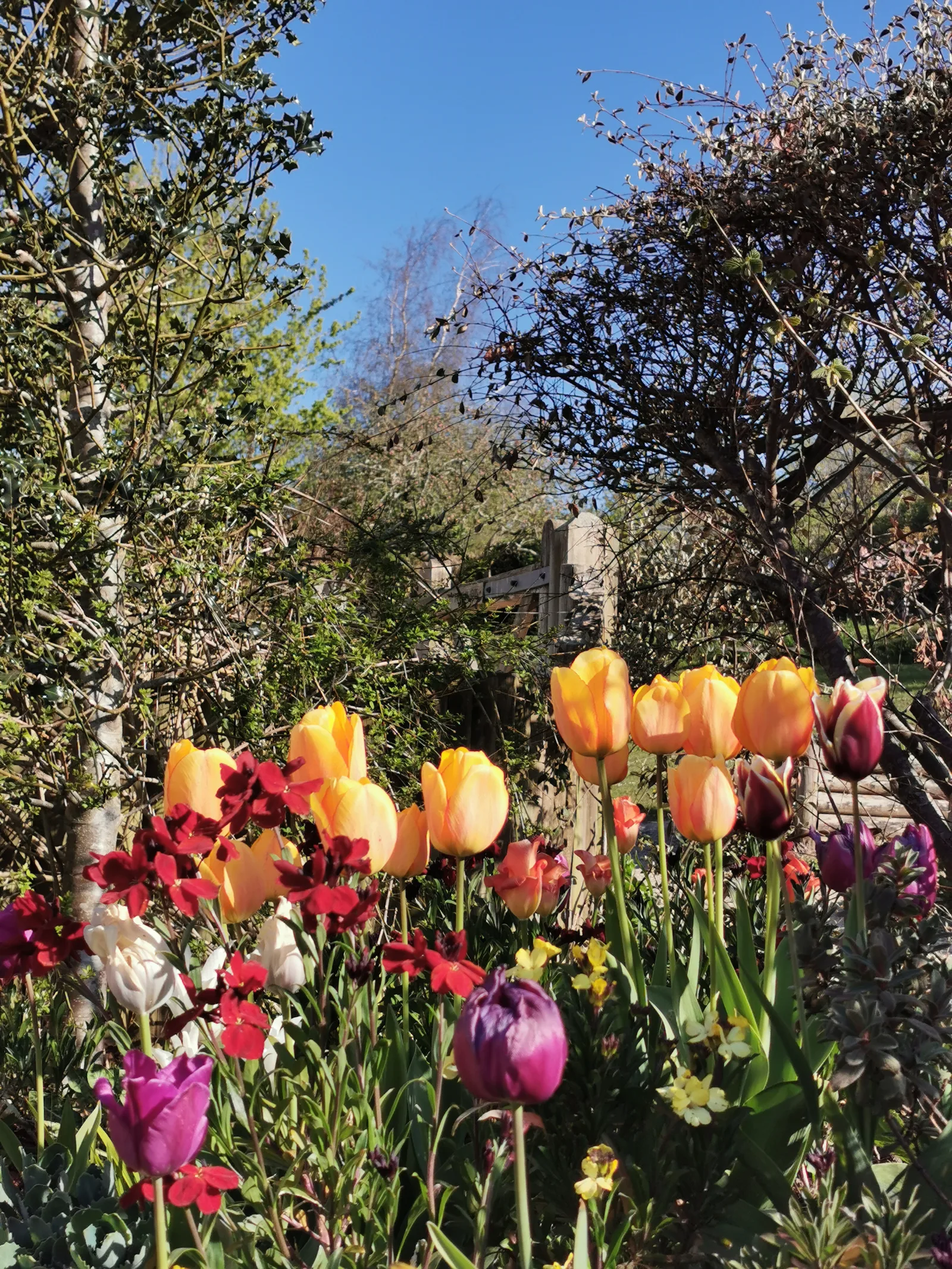 Atmosphere at St Stephen's Millennium Green Bath — travel photo
