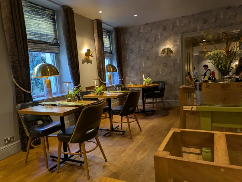 The Olive Tree