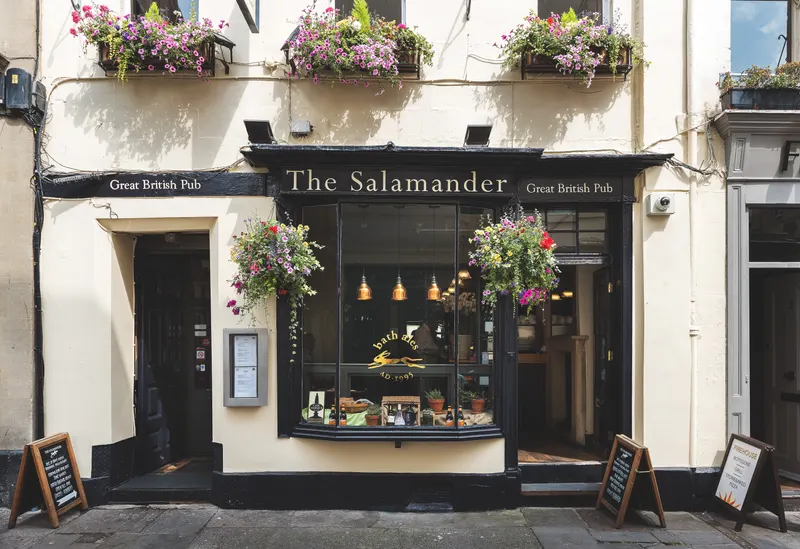 The Salamander