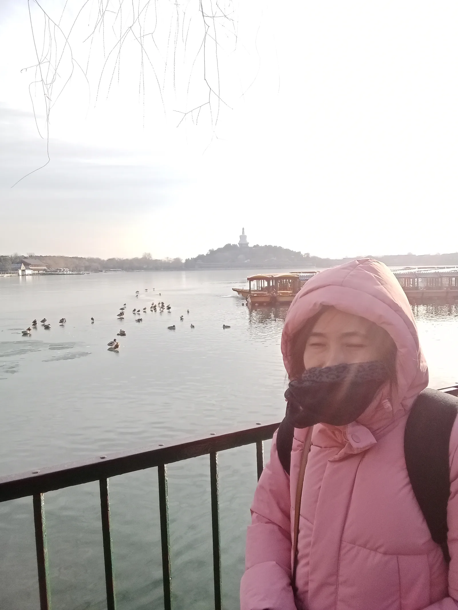 Main view at Beihai Botanical Park Beijing — travel photo