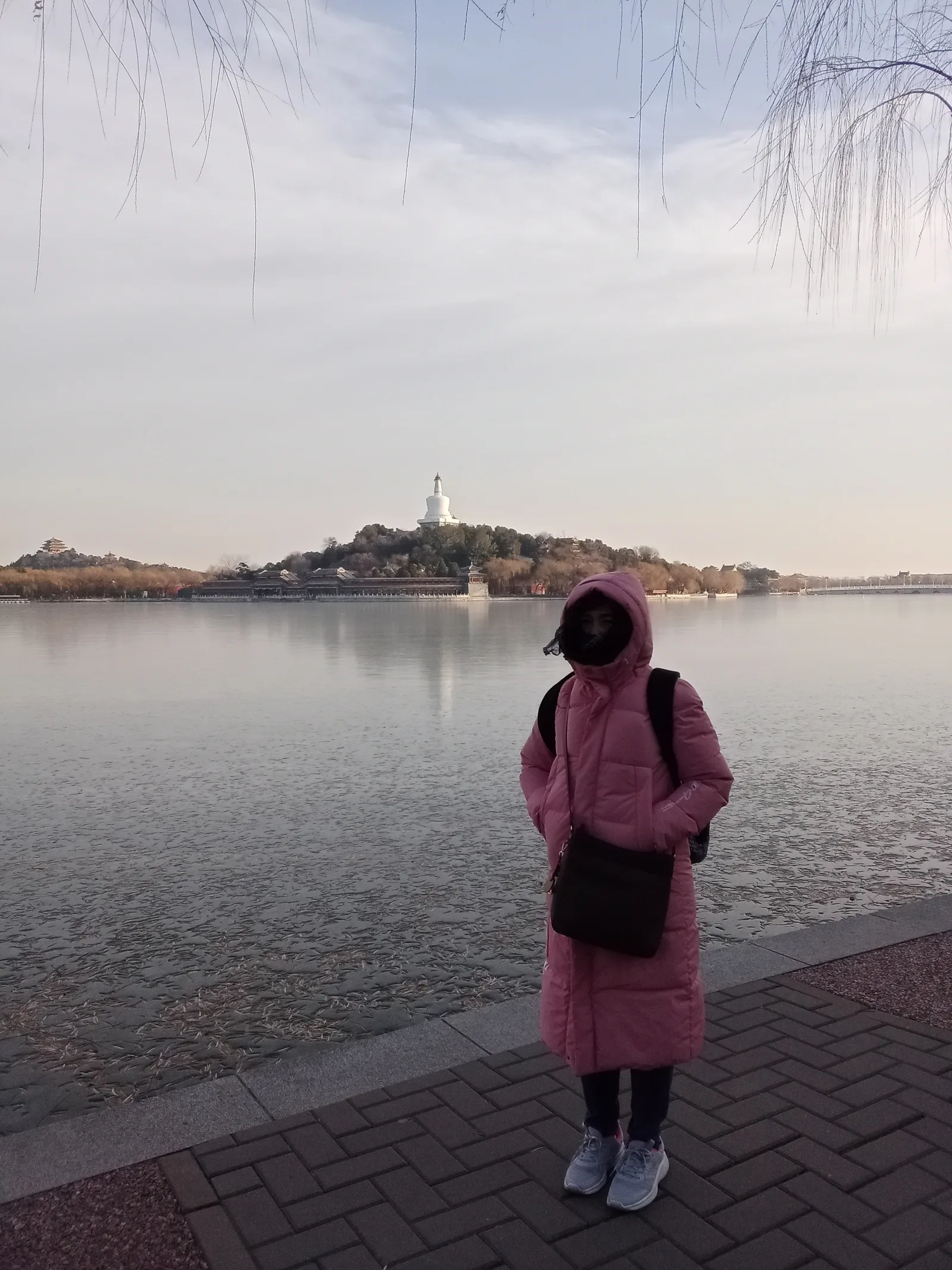 Atmosphere at Beihai Botanical Park Beijing — travel photo