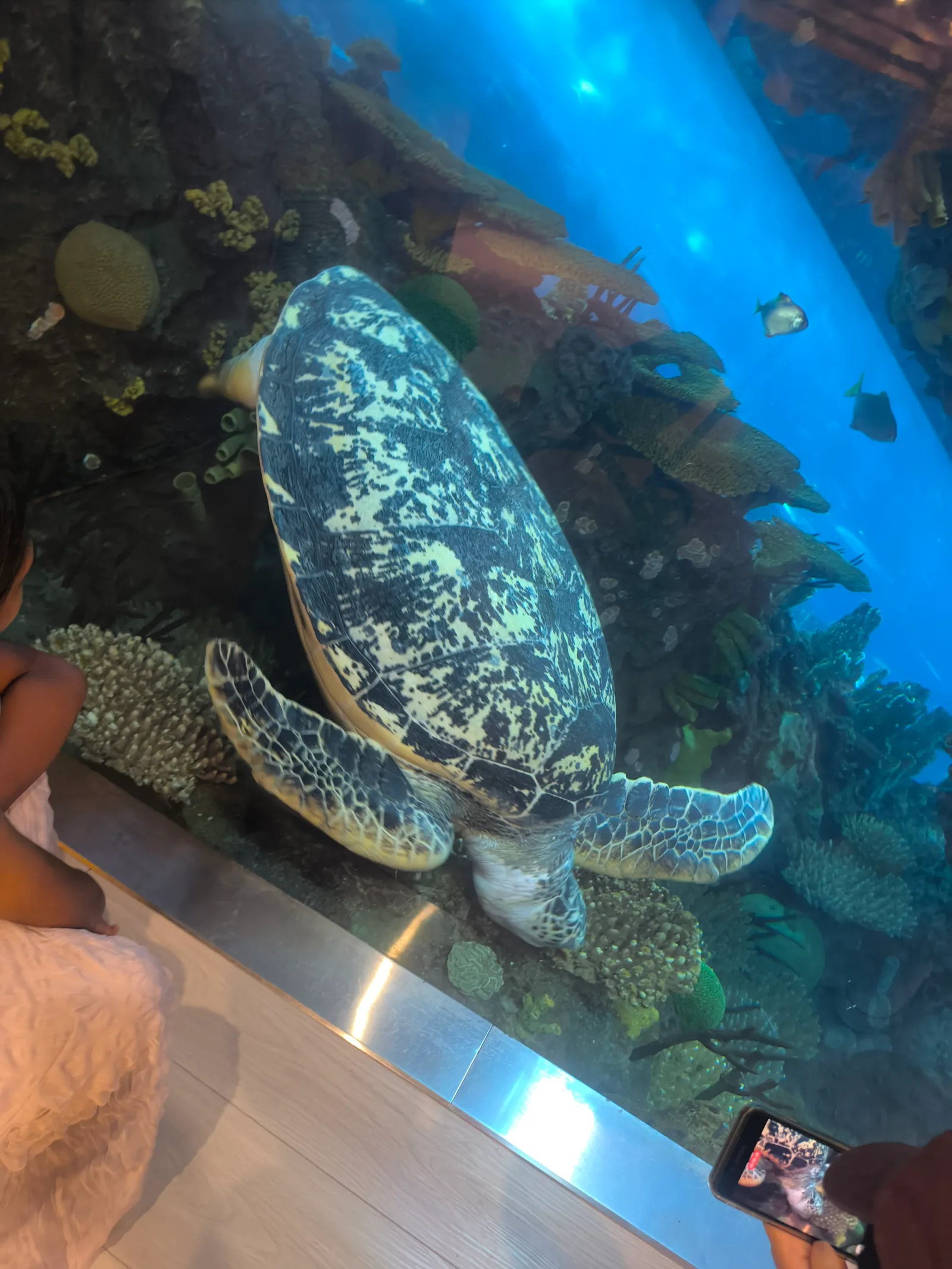 Main view at Beijing Aquarium Beijing — travel photo