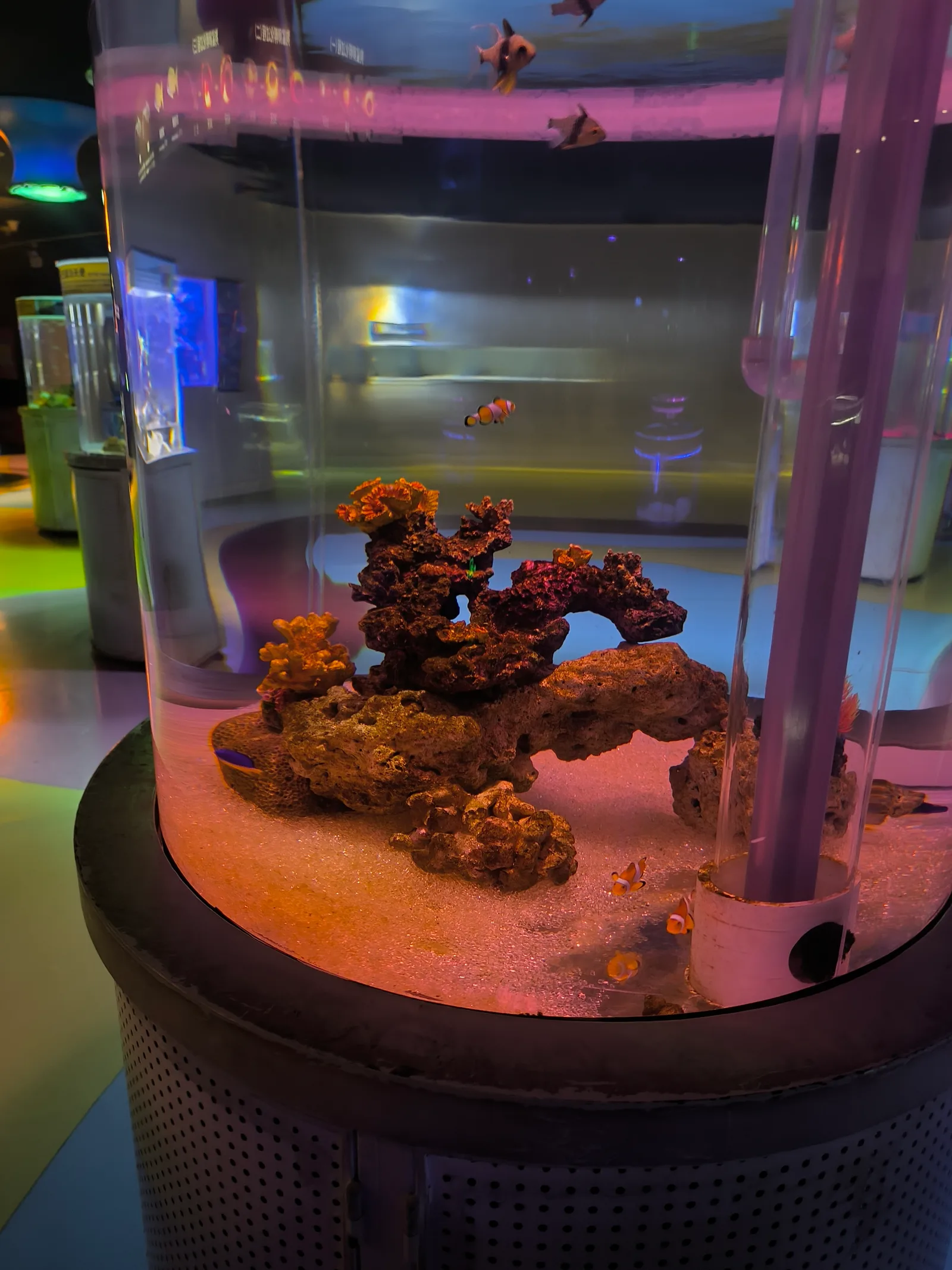 Interior at Beijing Aquarium Beijing — travel photo
