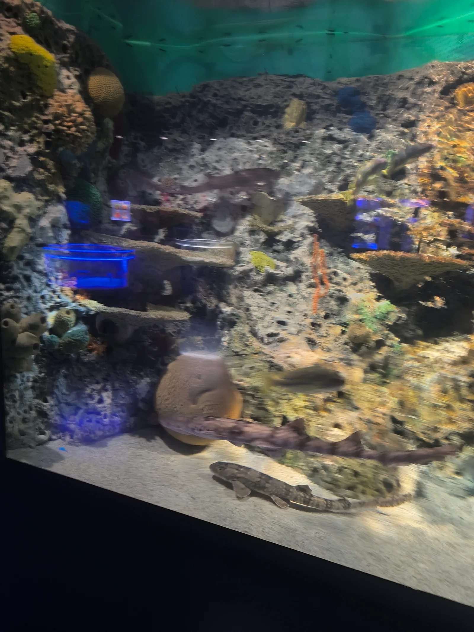 Details at Beijing Aquarium Beijing — travel photo
