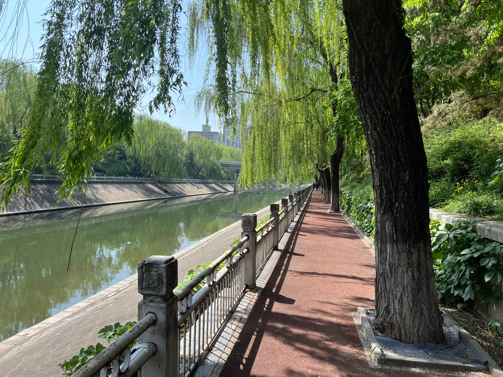 Details at Beijing Binhe Park Beijing — travel photo