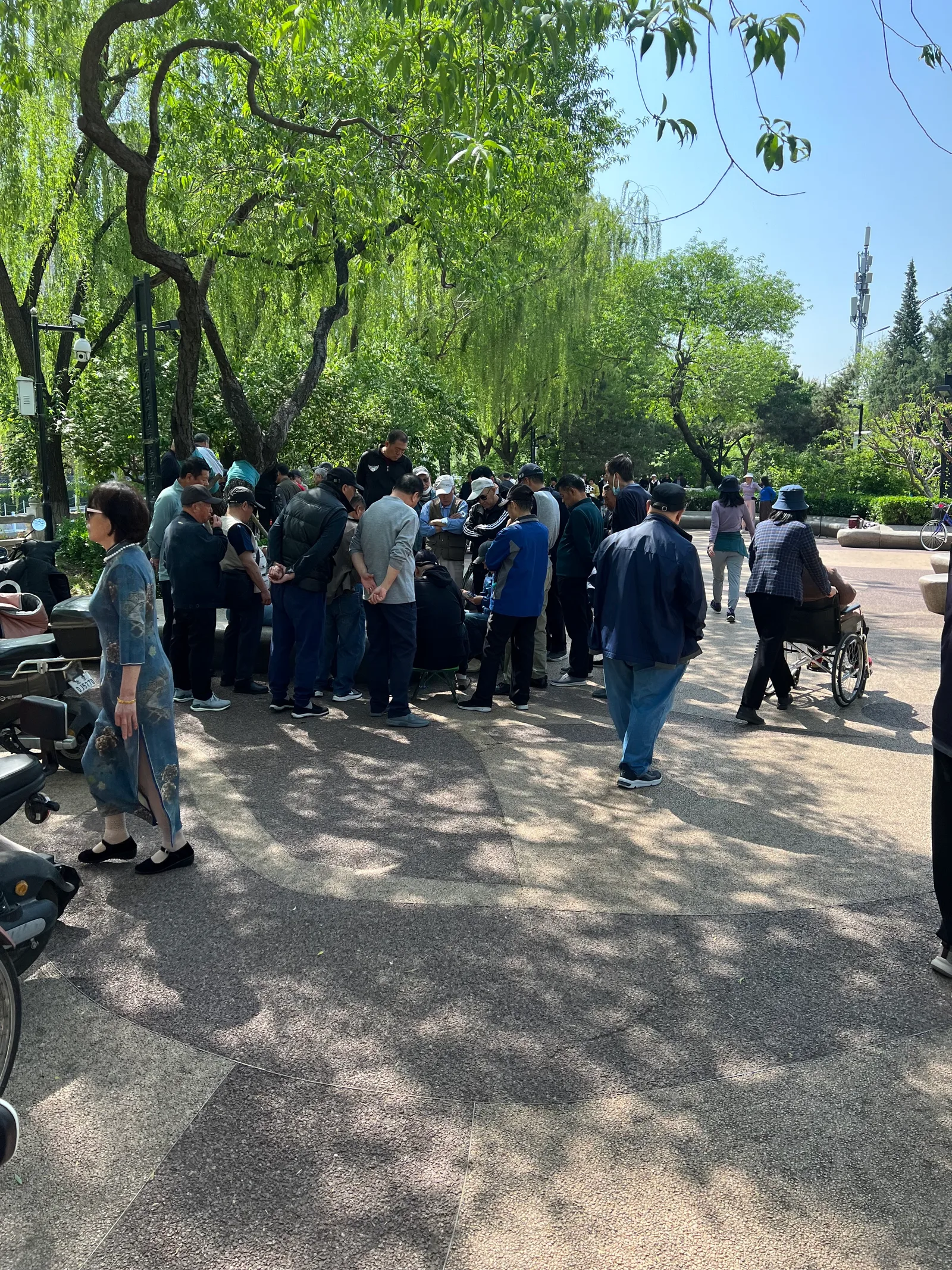 Atmosphere at Beijing Binhe Park Beijing — travel photo