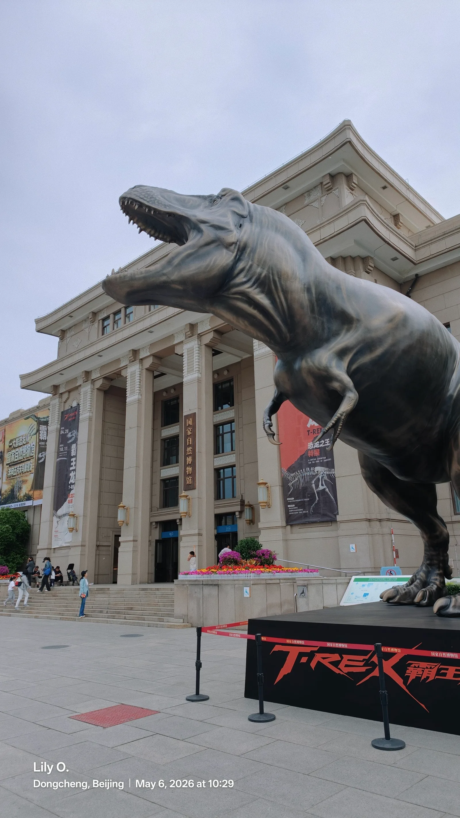 Details at Beijing Museum of Natural History Beijing — travel photo