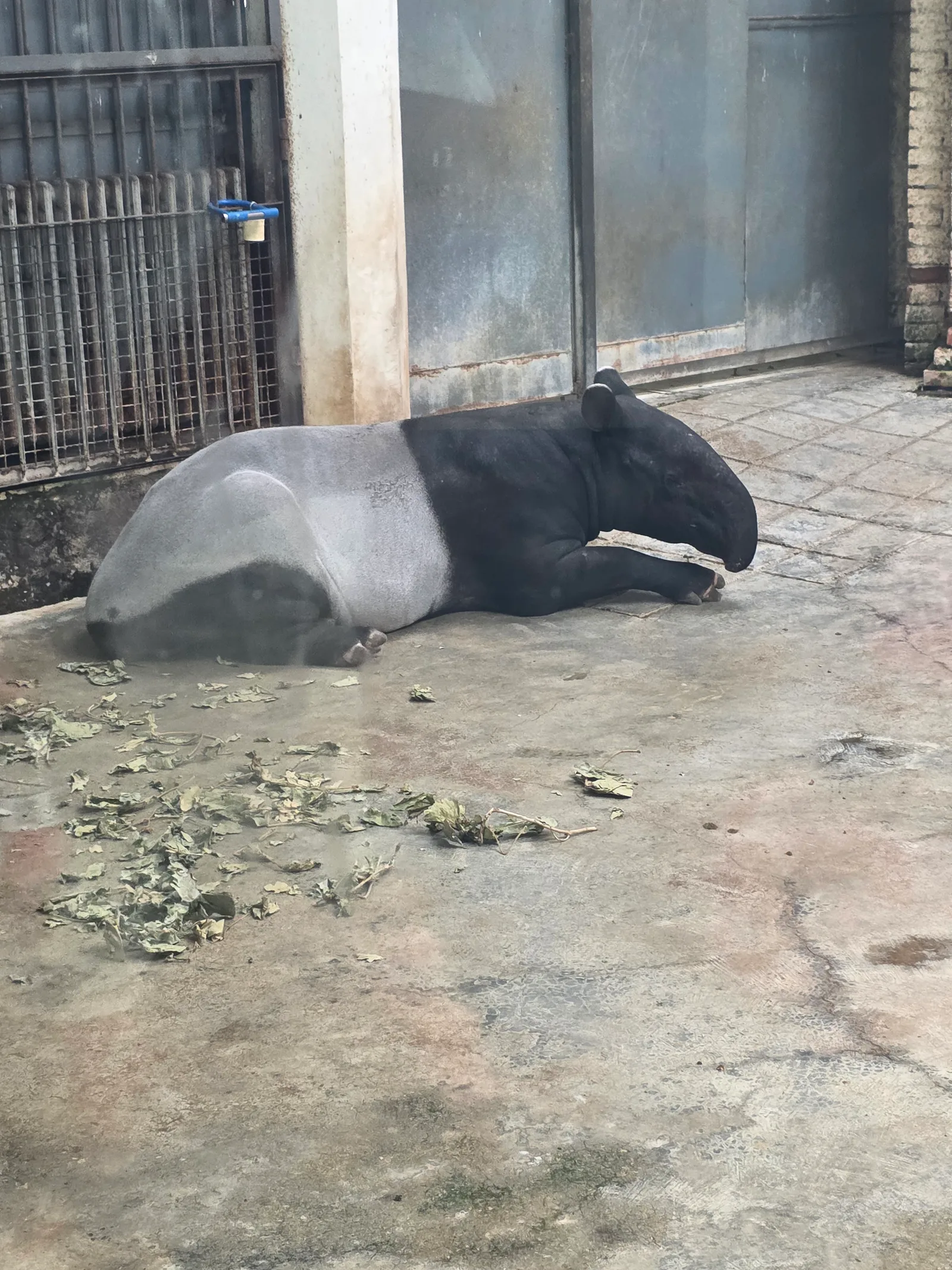 Atmosphere at Beijing Zoo Beijing — travel photo
