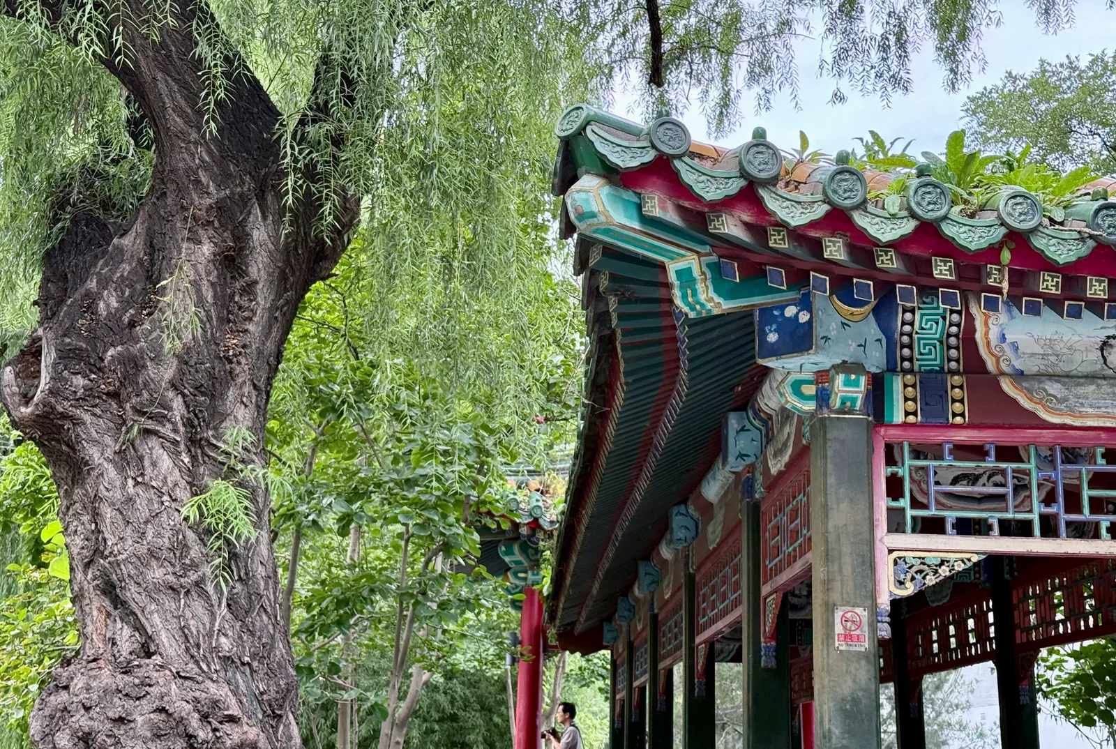 Details at Changpuhe Park （West Gate 2） Beijing — travel photo