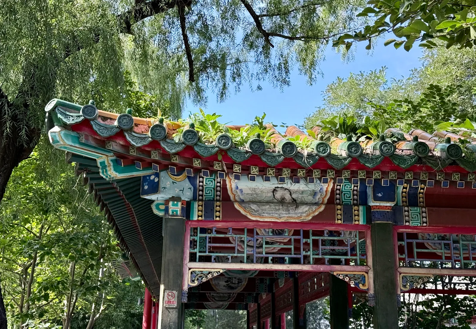 Atmosphere at Changpuhe Park （West Gate 2） Beijing — travel photo