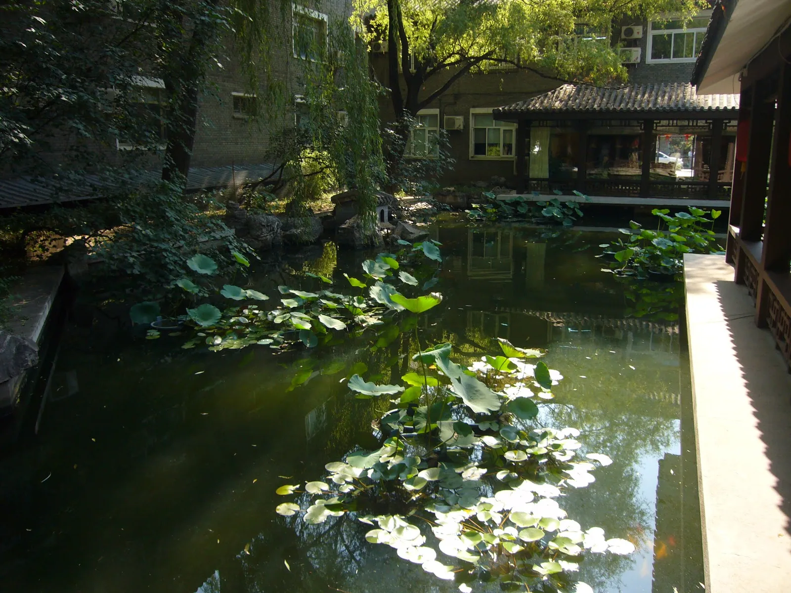 Main view at Fine Art Museum of Research Institute of Traditional Chinese Painting Beijing — travel photo