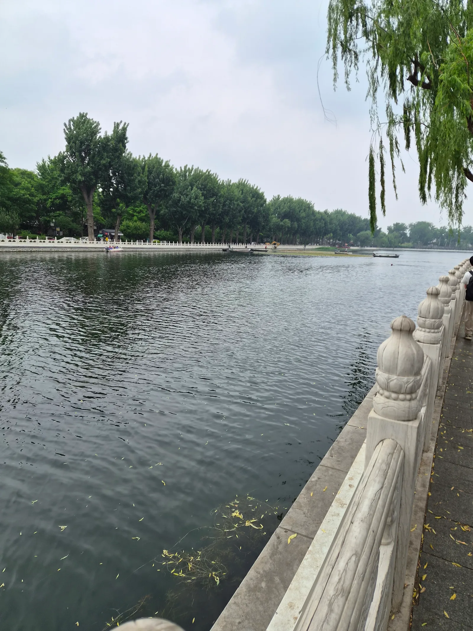 Details at Houhai Park Beijing — travel photo
