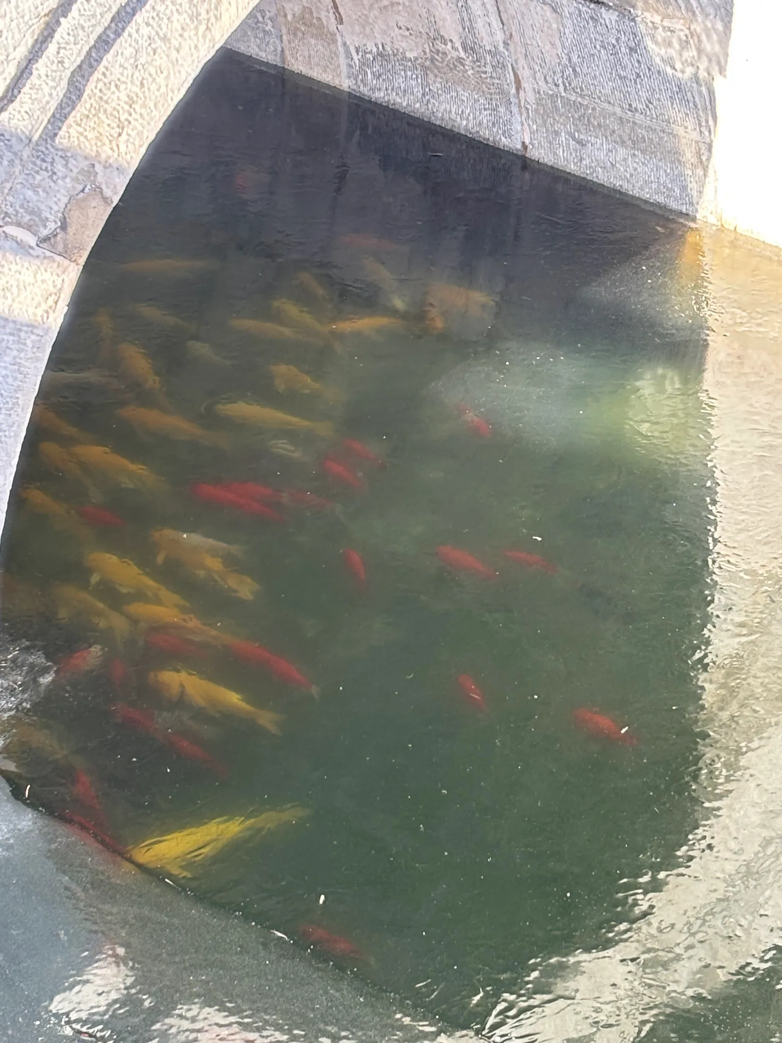 Atmosphere at Imperial Ancestral Temple Beijing — travel photo