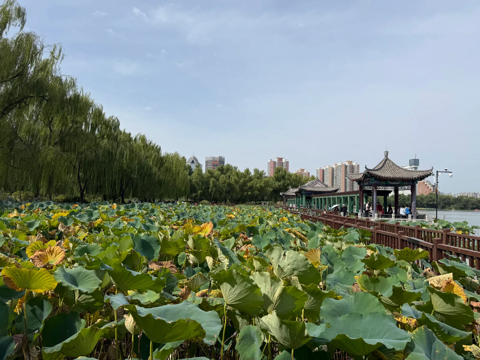 Main view at Lianhuachi Park Beijing — travel photo