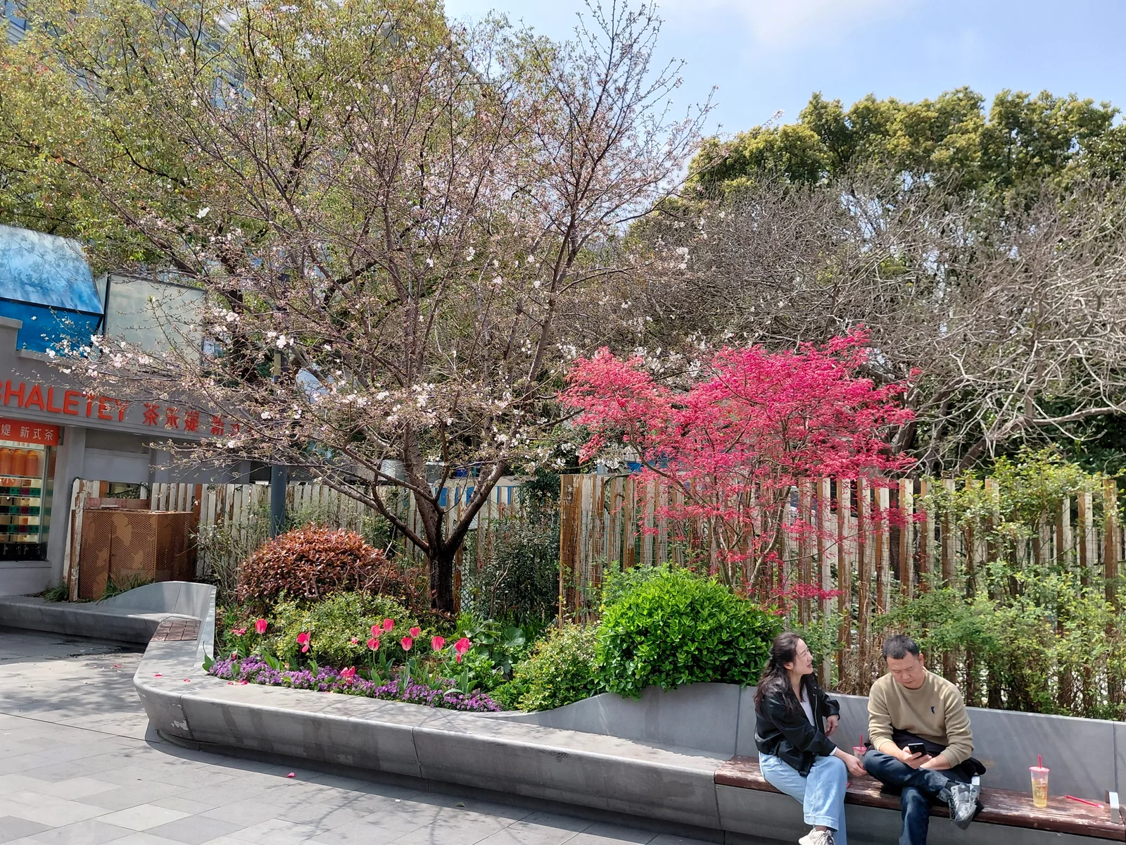 Atmosphere at Lianhuachi Park Beijing — travel photo