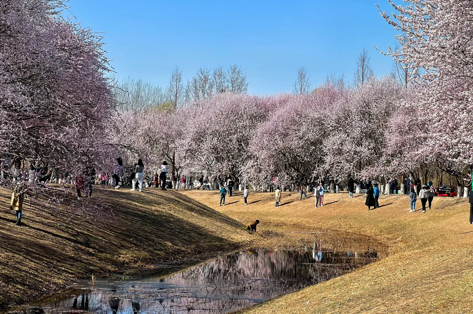 Olympic Forest Park ļ¼North Gateļ¼ ā romantic guide Beijing