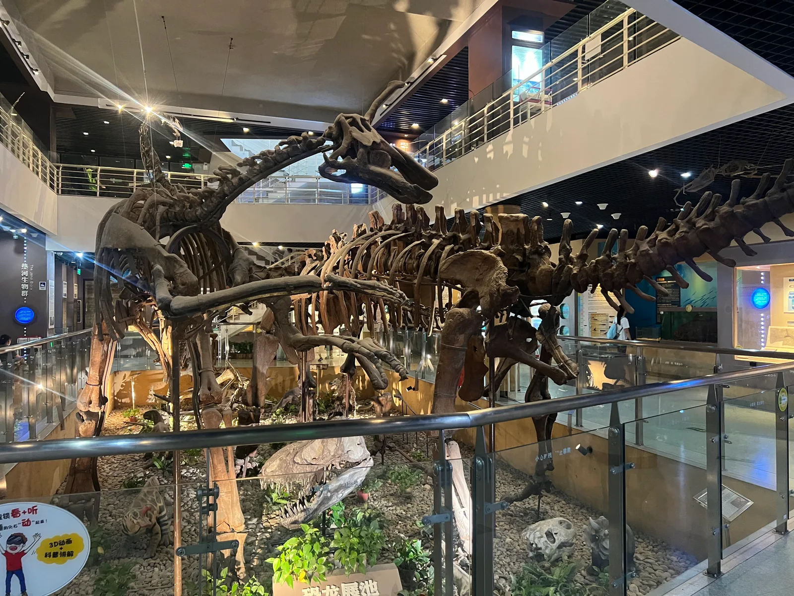 Main view at Paleozoological Museum of China Beijing — travel photo