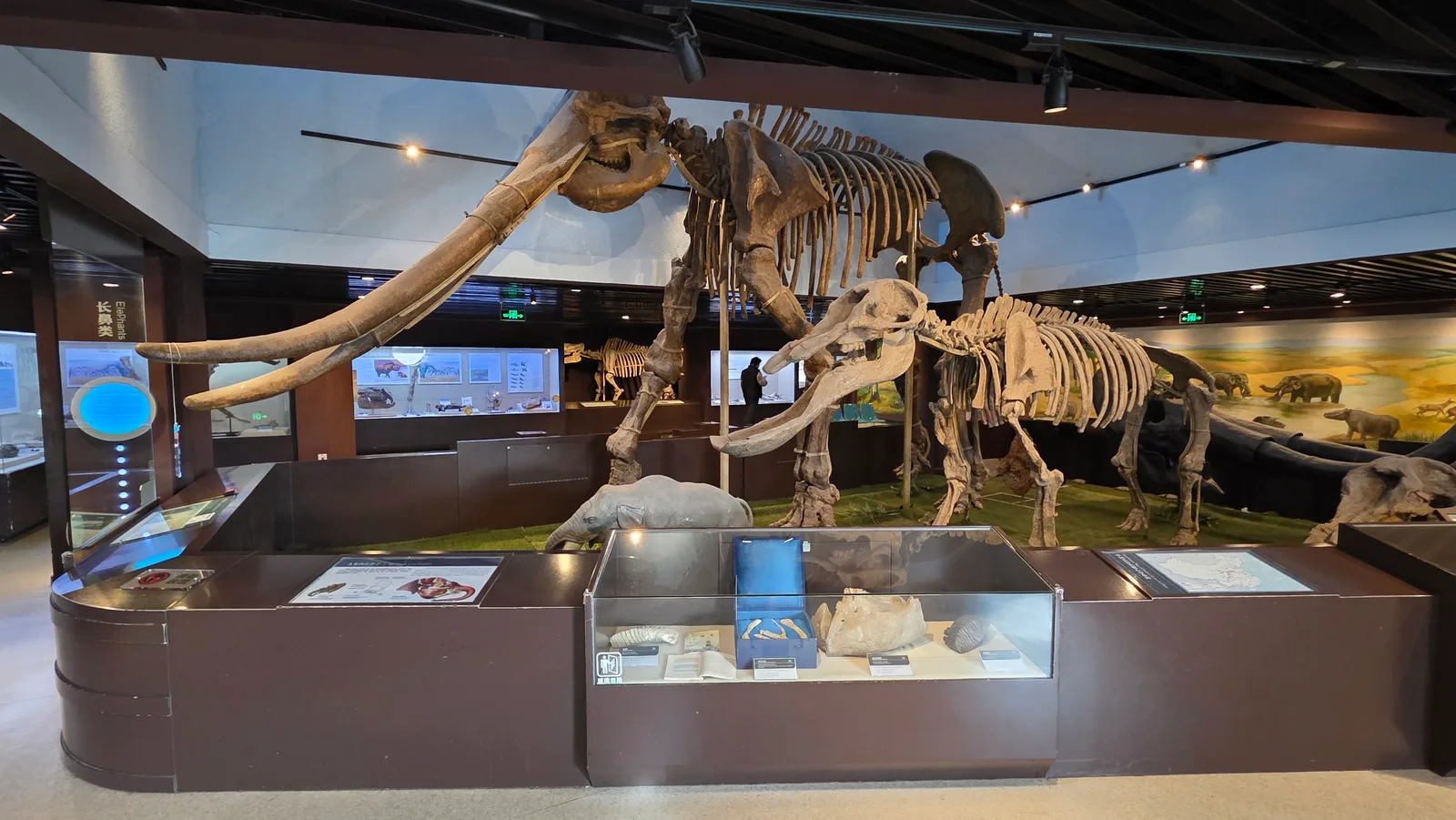 Details at Paleozoological Museum of China Beijing — travel photo