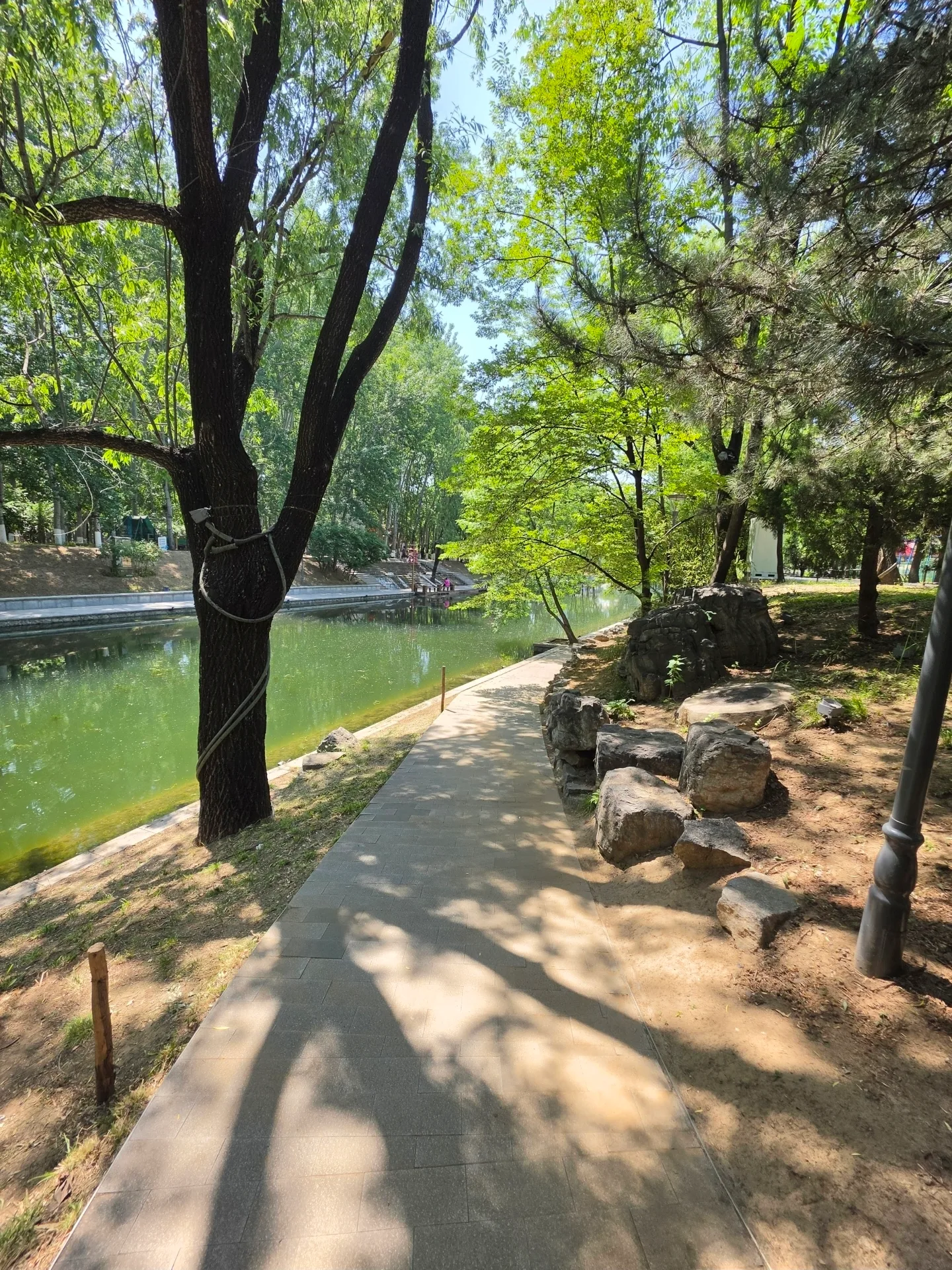 Details at 朝阳公园 Beijing — travel photo