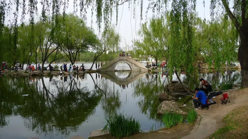 紫竹院公园