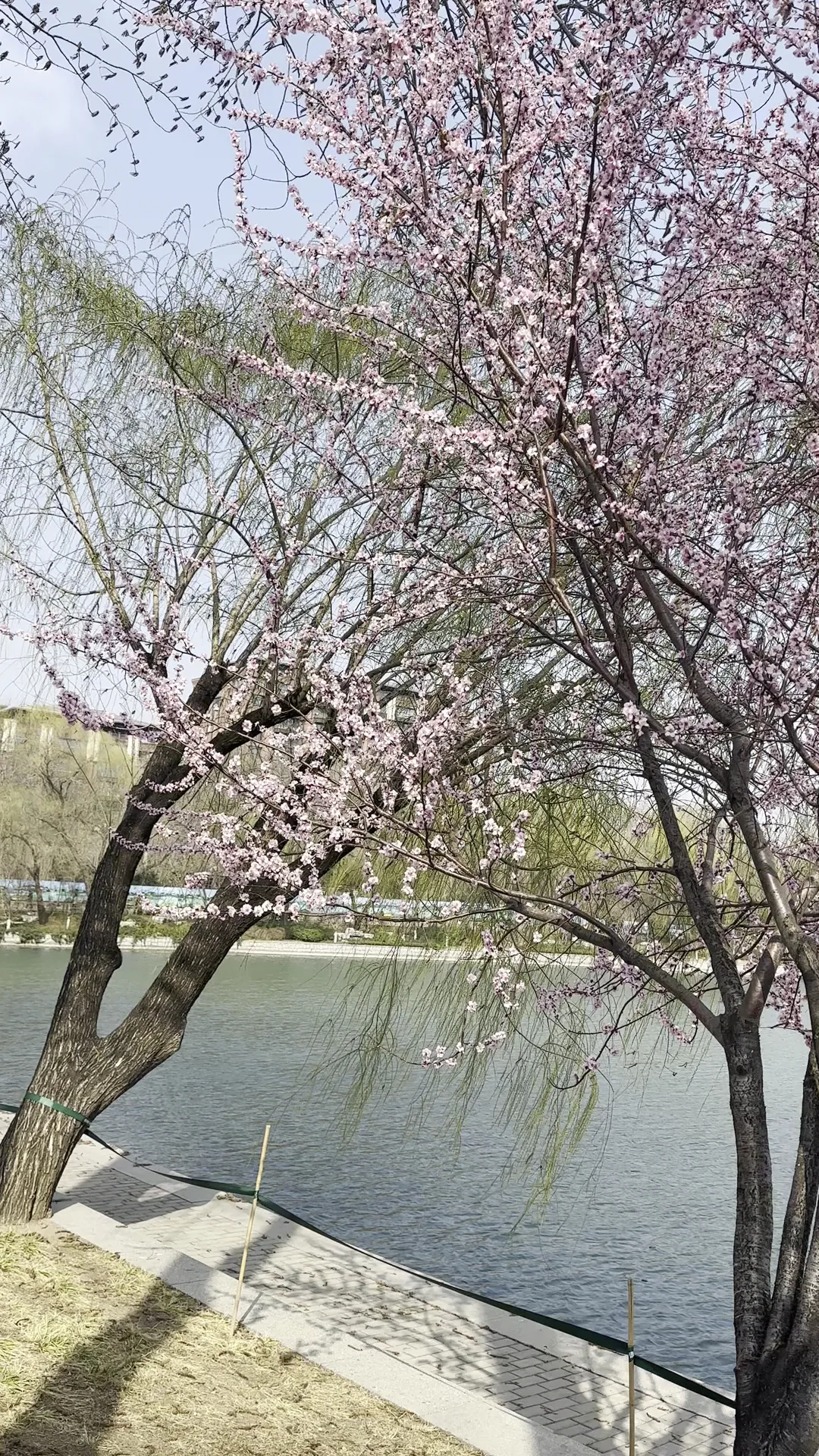 Interior at 玉渊潭公园 Beijing — travel photo
