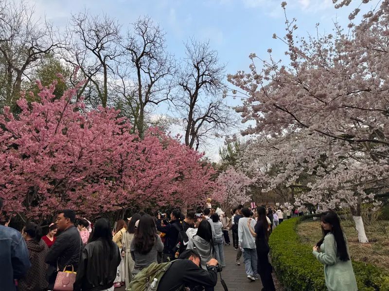 玉渊潭公园