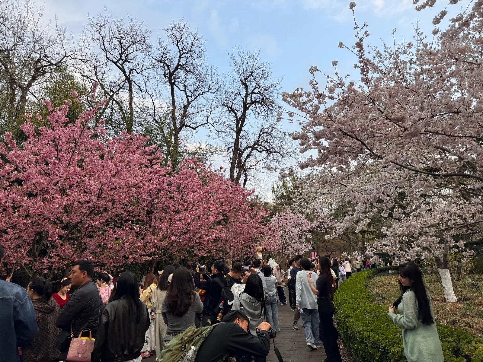 玉渊潭公园