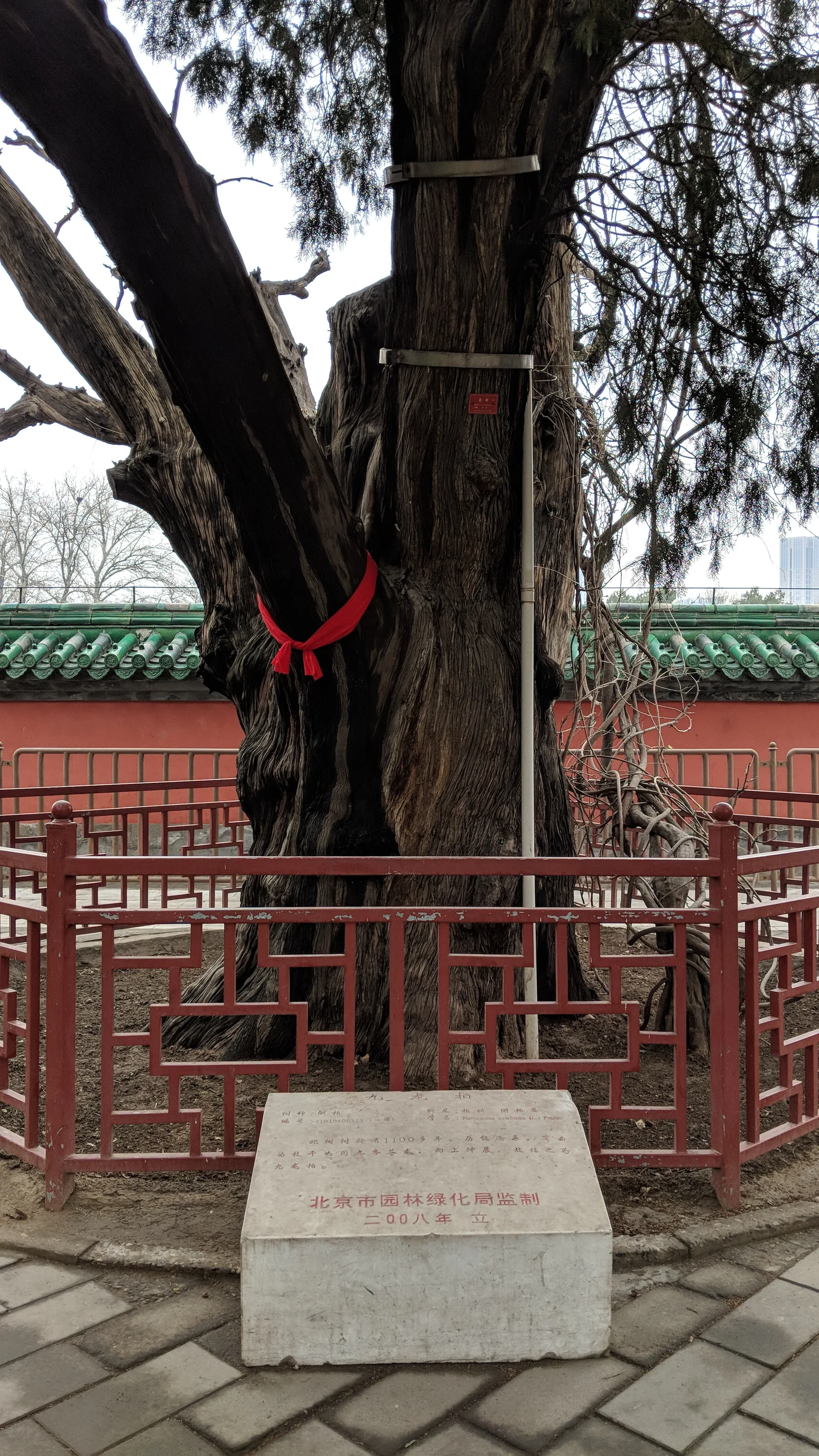 Interior at Ritan Park （North Gate） Beijing — travel photo