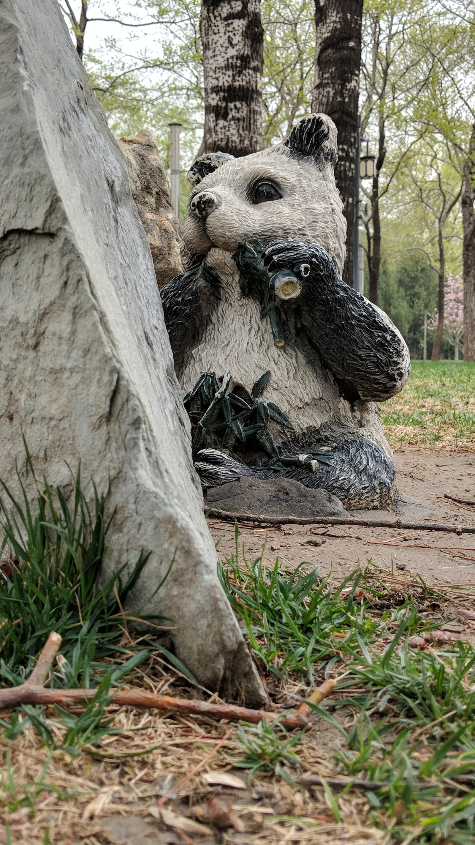Atmosphere at Ritan Park （North Gate） Beijing — travel photo