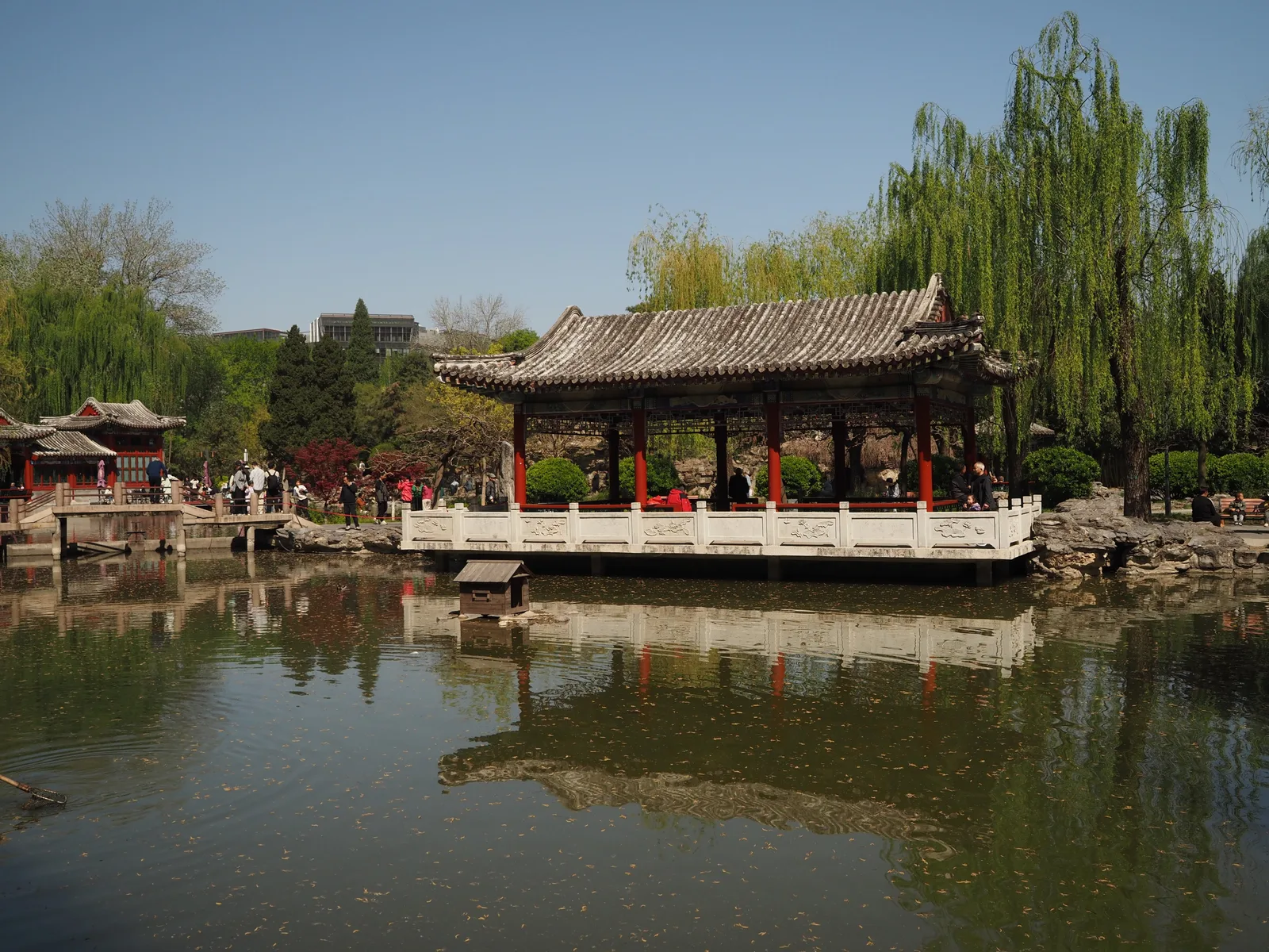 Atmosphere at Ritan Park （South Gate） Beijing — travel photo