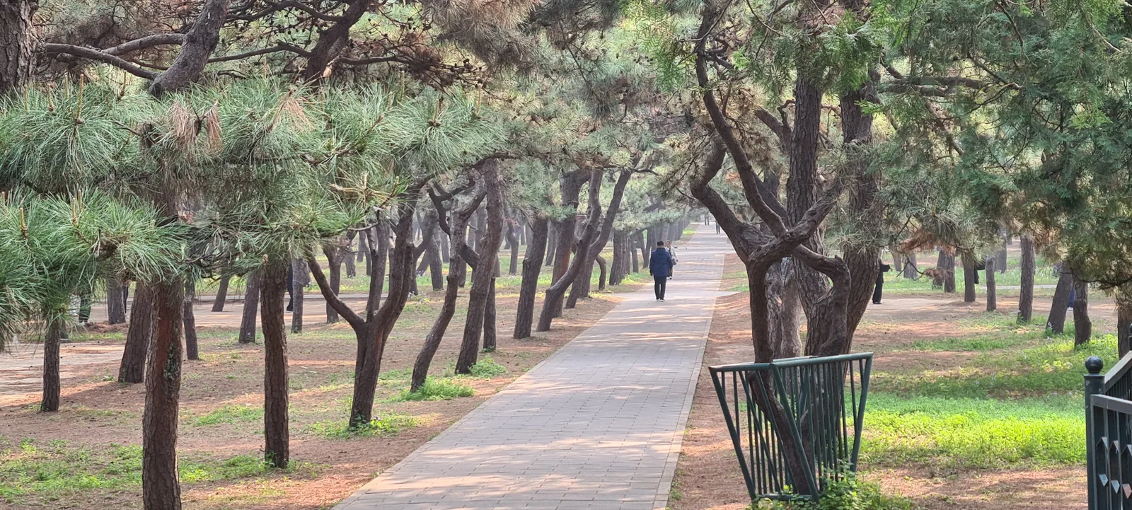 Details at Temple of Heaven Park Children's Paradise Beijing — travel photo