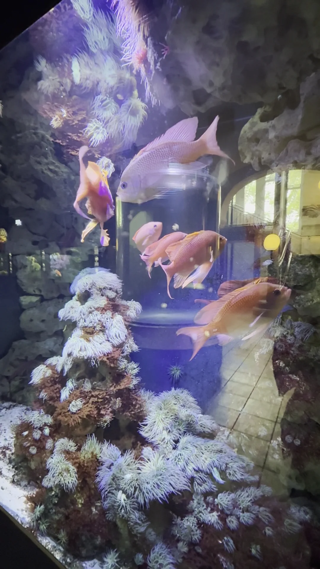 Main view at Aquarium Berlin Berlin — travel photo