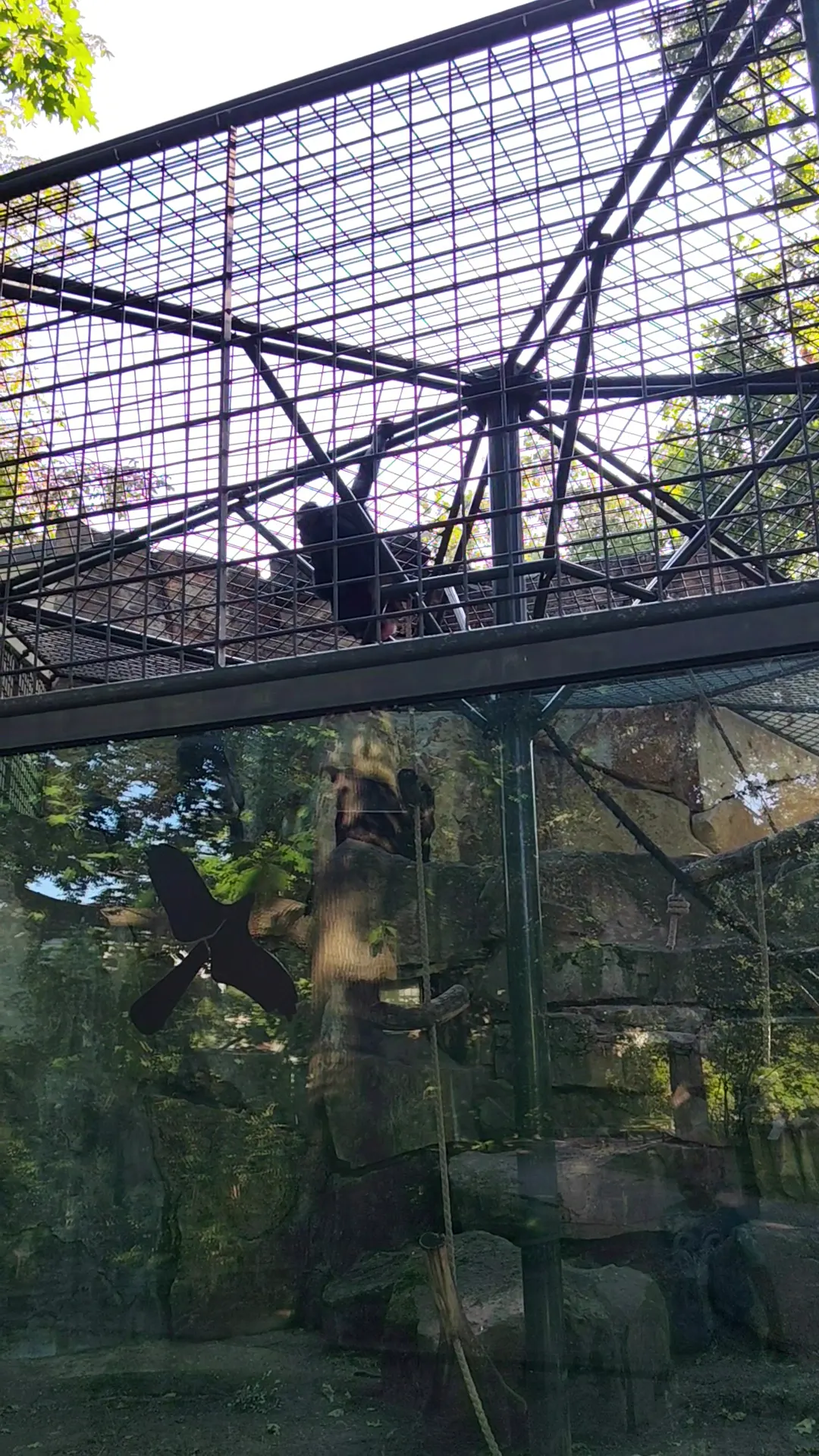 Main view at Berlin Zoological Garden Berlin — travel photo